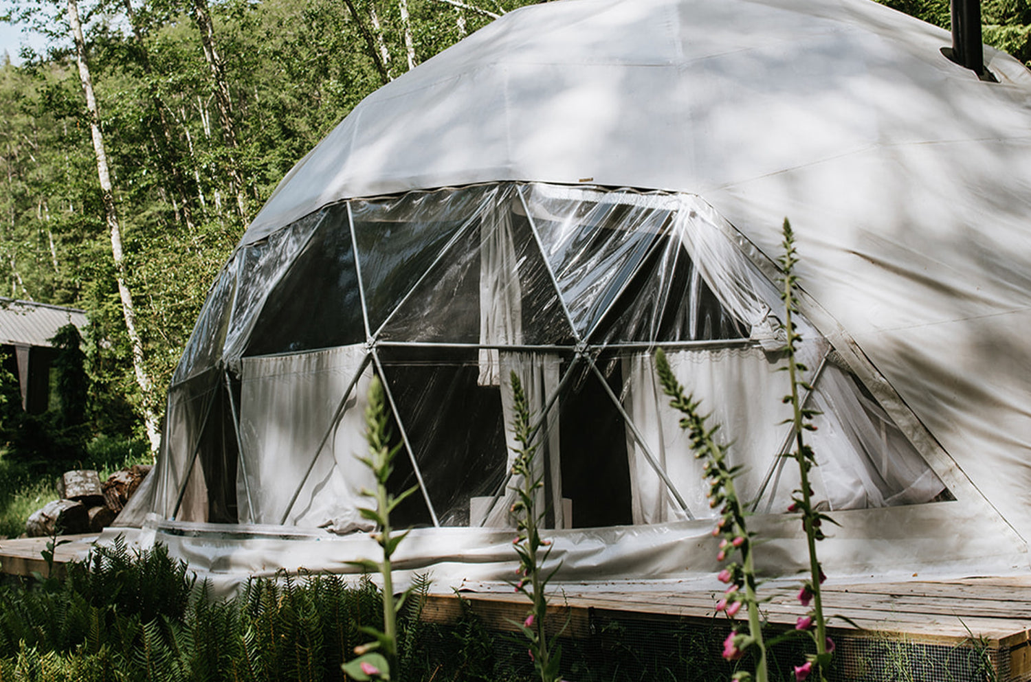 embrace the healing energy of summer through movement and mindful practices